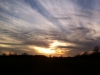 IMG_0048 - Copy